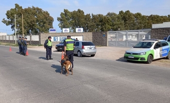 Imagen de la nota: Perro antidrogas detectó estupefacientes en un auto 