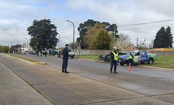 Imagen de la nota: Continúan los operativos con perros antidrogas