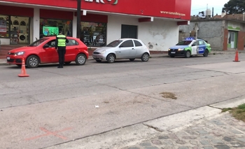 Imagen de la nota: Más controles: el perro de la policía le encontró droga 