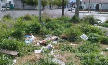 Indignación por basura en un terreno del Hipólito Yrigoyen  Imagen de la nota: Indignación por basura en un terreno del Hipólito Yrigoyen