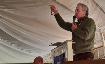 Imagen de la nota: Wallace S.A remata en la Sociedad Rural de Azul