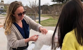 Imagen de la nota: El Municipio continúa con la Campaña de Vacunación Antirrábica