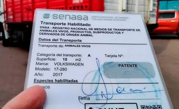 Imagen de la nota: Senasa: nueva normativa para el transporte de animales vivos y productos de origen animal
