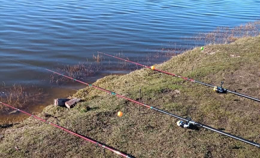 Veda de pesca de pejerrey: cómo afecta a las lagunas de Olavarría y la región- Veda de pesca de pejerrey: cómo afecta a las lagunas de Olavarría y la región