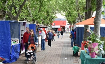 Imagen de la nota: La Minga volvió a la plaza: 