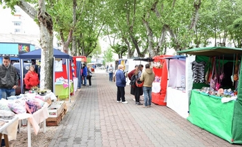 Imagen de la nota: Deportes y actividades culturales para pasar el domingo