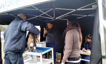 Imagen de la nota: Reprogramación de vacunación antirrábica