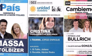 Imagen de la nota: Provincia: estas son las boletas para las elecciones legislativas