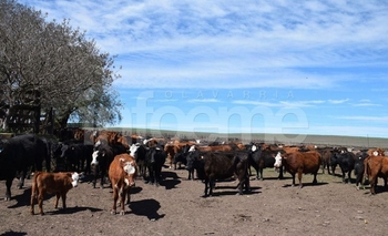 Imagen de la nota: Para el Ministerio “no está acreditada” la propiedad 