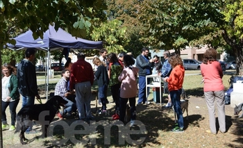 Imagen de la nota: La campaña antirrábica se realizará en Loma Negra