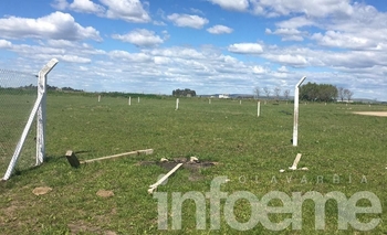 Robo en el Kartódromo: se llevaron cables y alambrado olímpico Imagen de la nota: Robo en el Kartódromo: se llevaron cables y alambrado olímpico