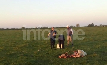 Imagen de la nota: Robaron en Chacras y carnearon vaquillonas