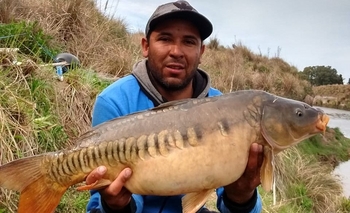 Arroyo Tapalqué: pescaron una “carpa espejo” Imagen de la nota: Arroyo Tapalqué: pescaron una “carpa espejo”