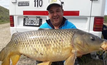 Tapalqué Monster: pescaron una carpa de más de 18 kilos Imagen de la nota: Tapalqué Monster: pescaron una carpa de más de 18 kilos