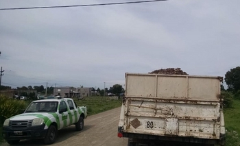 Continúan los controles a transportistas Imagen de la nota: Continúan los controles a transportistas