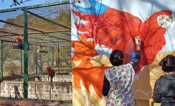 Imagen de la nota: Mural de Artes Visuales en el Bioparque “La Máxima”