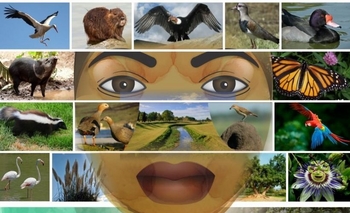 Jornadas para la Diversidad Cultural Imagen de la nota: Jornadas para la Diversidad Cultural