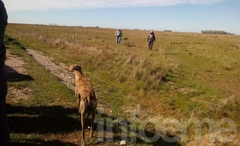 Imagen de la nota: Cuatro demorados por caza con galgos