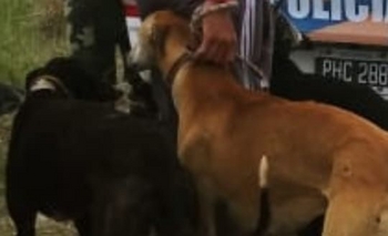 Imagen de la nota: Infraccionan a 6 hombres por caza furtiva