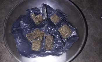 Imagen de la nota: Video: Envió a su amigo droga en un tupper con milanesas