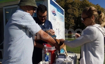 Imagen de la nota: La vacunación antirrábica continúa en las localidades