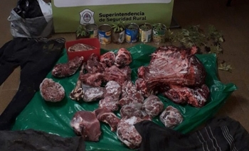 Se metieron en un campo y faenaron dos vacas  Imagen de la nota: Se metieron en un campo y faenaron dos vacas
