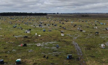 Imagen de la nota: Hay más de 80 tomas judicializadas en la provincia