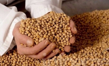 Imagen de la nota: Ruralistas disconformes con la baja de retenciones           