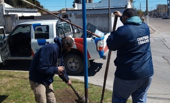 Imagen de la nota: Realizan arreglos en los carteles de las calles
