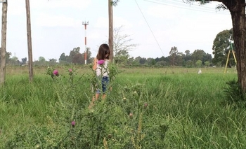 Imagen de la nota: Preocupa el abandono en la plaza del barrio La Candela