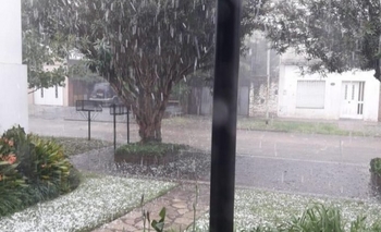 Imagen de la nota: Video: impactante granizada en Saladillo 