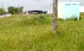 Imagen de la nota: Abandono en la plaza del barrio Carlos Pellegrini