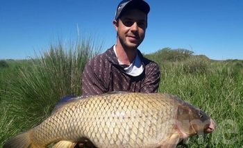 Pescan una carpa enorme en el arroyo Tapalqué Imagen de la nota: Pescan una carpa enorme en el arroyo Tapalqué