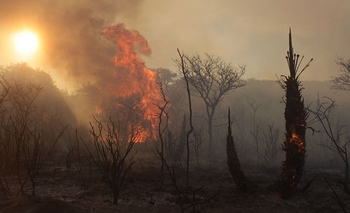 Incendios en Córdoba: las intensas ráfagas complican la situación Imagen de la nota: Incendios en Córdoba: las intensas ráfagas complican la situación