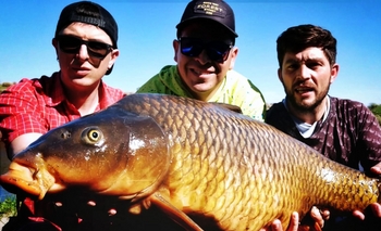 Imagen de la nota: Video: así fue el pesaje de la Carpa de 19 kilos