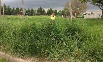 Imagen de la nota: Indignación por el abandono de la plaza de barrio La Candela
