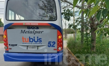 Un pasajero se quejó por pastizales en una parada de colectivos Imagen de la nota: Un pasajero se quejó por pastizales en una parada de colectivos