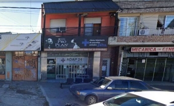 Imagen de la nota: Veterinarios de la Provincia cierran en repudió a la violencia recibida 