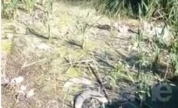 Imagen de la nota: “Líquidos industriales” en el Arroyo Tapalqué