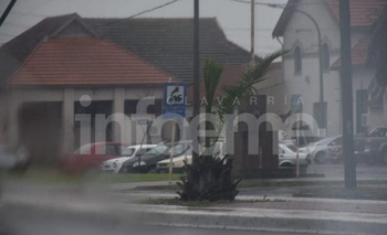 Imagen de la nota: Alerta amarillo por viento: se esperan ráfagas de 70 km/h