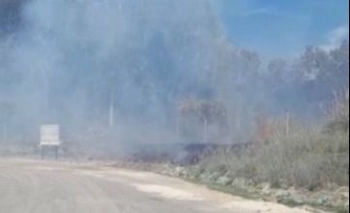 Imagen de la nota: Loma Negra: bomberos trabajaron en un incendio
