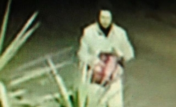 Imagen de la nota: Investigan si un hombre envenena animales en el Barrio Norte