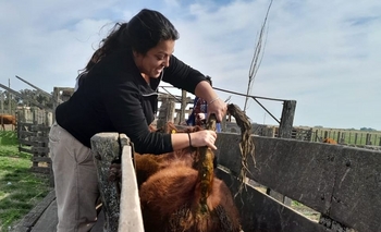 Imagen de la nota: Una fecha que busca instalarse en el calendario