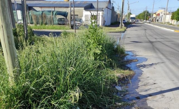 Reclaman por una vereda abandonada Imagen de la nota: Reclaman por una vereda abandonada