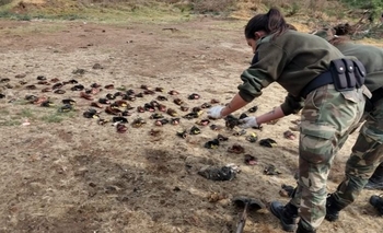 Imagen de la nota: Aprehendieron a cuatro personas por robar vacunos