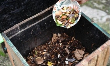 Imagen de la nota: Este martes se hará un nuevo Taller de Compostaje y Lombricultura