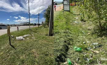 Imagen de la nota: Denuncian el arrojo de basura en los zanjones de la Ruta 226 y avenida Pellegrini