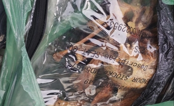 Imagen de la nota: Encuentran un cráneo en el Barrio Belgrano e investigan su procedencia