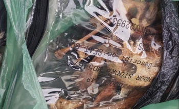 Imagen de la nota: Se resolvió el misterio del cráneo: era de una estudiante de medicina