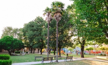 Imagen de la nota: Agenda cultural con variadas propuestas para disfrutar el finde en Olavarría